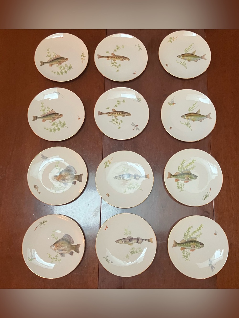 Vintage Bareuther Waldsassen Bavaria-Germany Set 12 8in Fish Themed Salad Plates